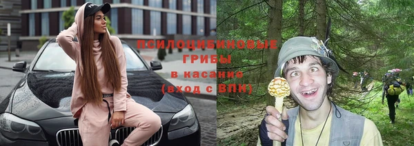 ПСИЛОЦИБИНОВЫЕ ГРИБЫ Абаза